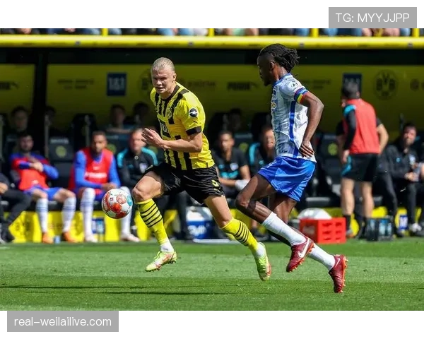 多特蒙德比赛高开低走问题显现,当前阶段表现波动对赛季走势形成制约 多特蒙德比赛高开低走问题显现,当前阶段表现波动对赛季走势形成制约