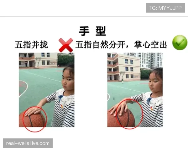 篮球运球规则的合法动作与违例判定解析